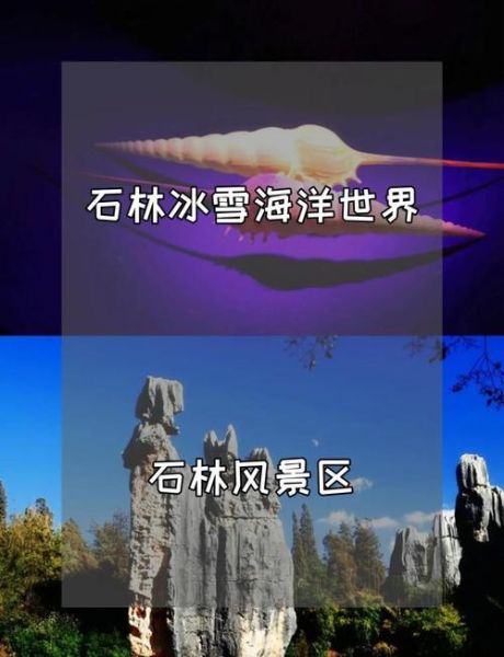 昆明石林冰雪世界门票价格_昆明石林冰雪世界游玩攻略