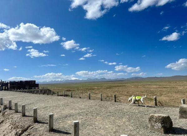 心脏病能去高原吗_高原旅行注意事项