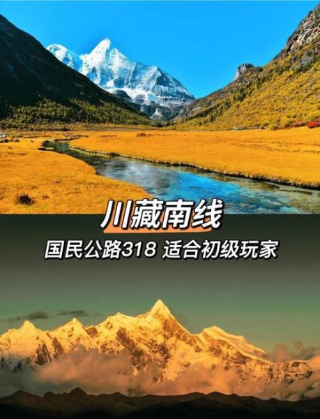 高原康和高原安的区别_哪个更适合进藏