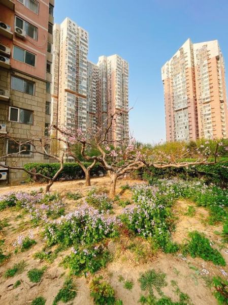 北京晨光家园怎么样_值得买吗