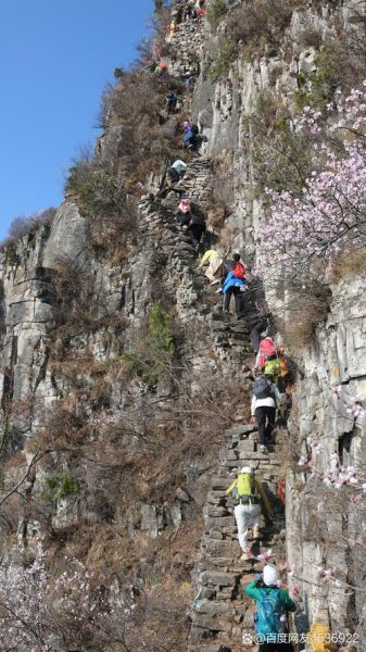 8264户外网靠谱吗_8264户外网怎么玩