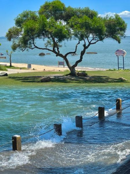 户外舒服吗_户外适合什么天气