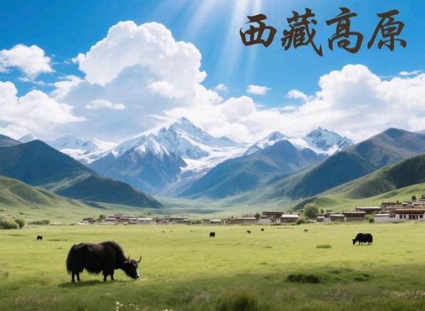 高原海拔最高的是哪里_青藏高原平均海拔多少米