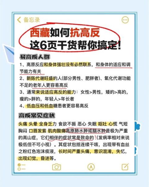 孕妇高原反应怎么缓解_孕妇去高原注意事项