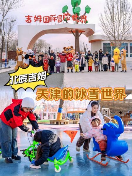 冰雪年华是什么_冰雪年华适合几岁孩子