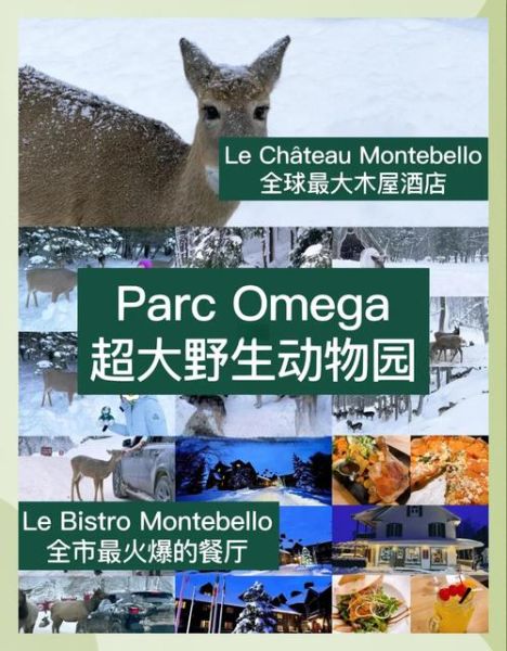 杭州野生动物园冰雪世界好玩吗_门票价格多少