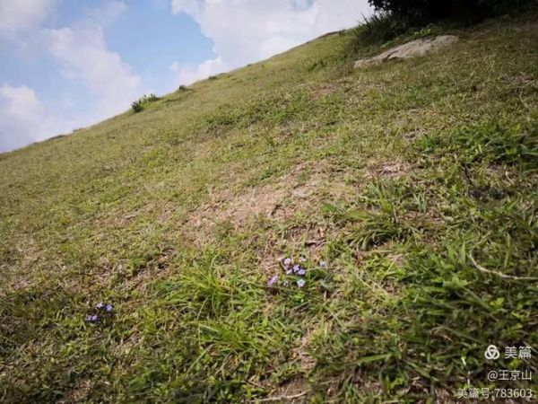 云顶高原大巴哪里坐_云顶高原大巴多少钱