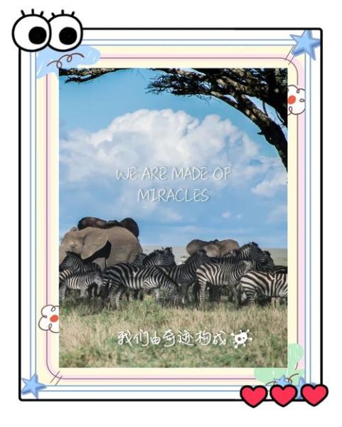 高原人如何与自然相处_高原人为什么敬畏自然