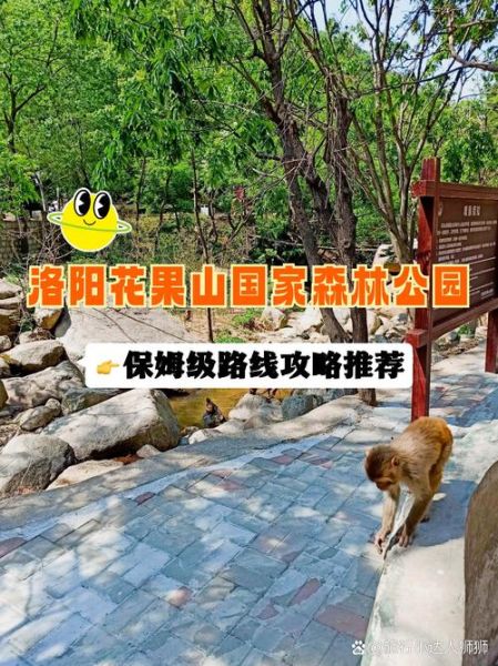 洛阳户外运动俱乐部哪家好_周末徒步路线推荐