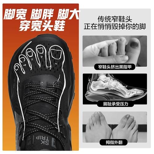 狮牌户外帐篷怎么选_狮牌户外装备值得买吗