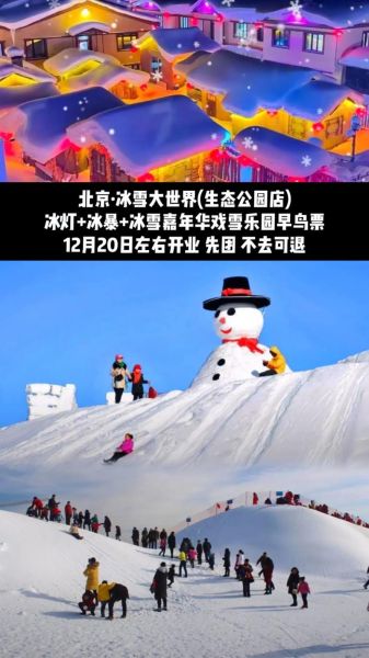 丰体冰雪嘉年华门票价格_开放时间