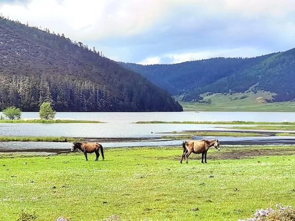 普达措有高原反应吗_普达措海拔多少米