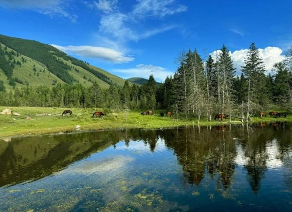 鱼台高原在哪里_鱼台高原有什么好玩的