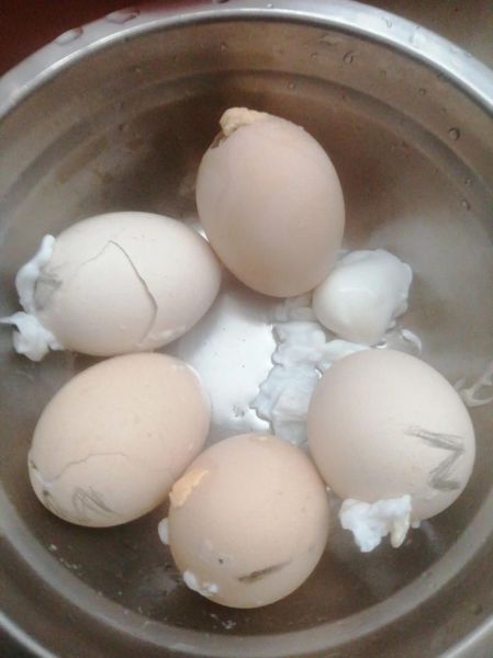 高原煮鸡蛋需要多久_高原煮鸡蛋的正确方法