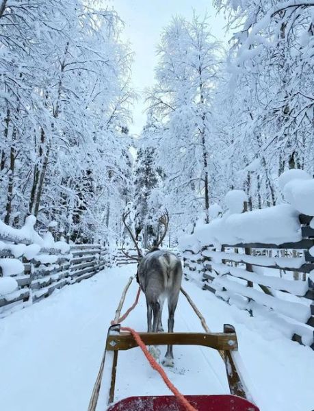 冰雪全景拍摄技巧_如何用手机拍出震撼雪景