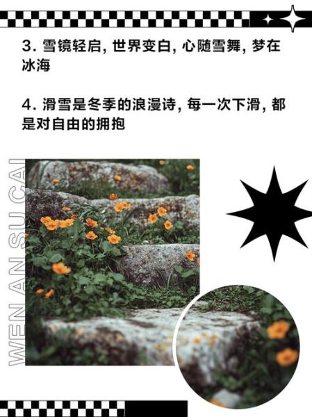 冰雪交融是什么意思_冰雪交融造句