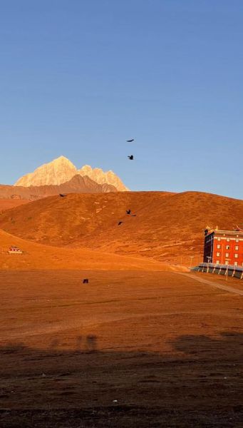 鼻炎可以上高原吗_高原旅行注意事项