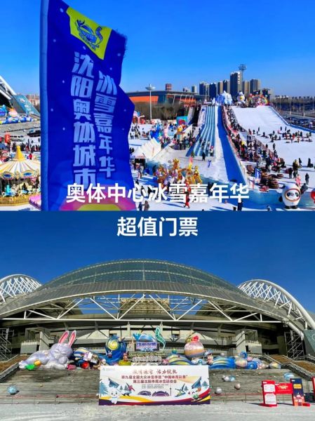 大同冰雪嘉年华门票价格_有什么好玩的