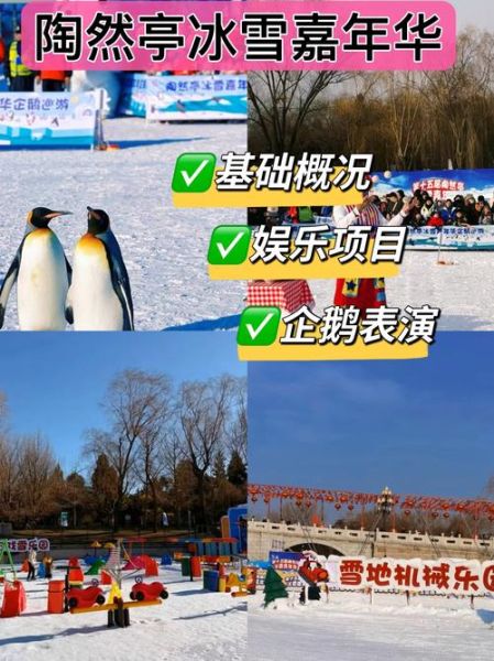 台儿庄水上冰雪乐园门票多少钱_冬天能玩什么