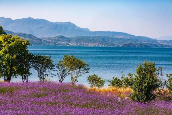 云贵高原最大湖泊是哪个_抚仙湖深度多少米