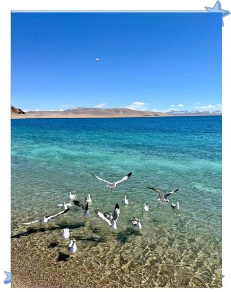 有哮喘的人可以去高原吗_高原旅行注意事项