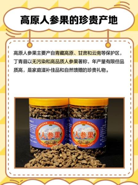 高原参怎么吃效果最好_高原参适合什么人吃