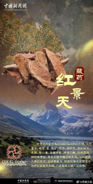 高原红藏药馆怎么样_高原红藏药馆是真的吗