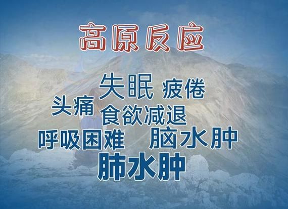 身体强壮高原反应_为什么还会高反