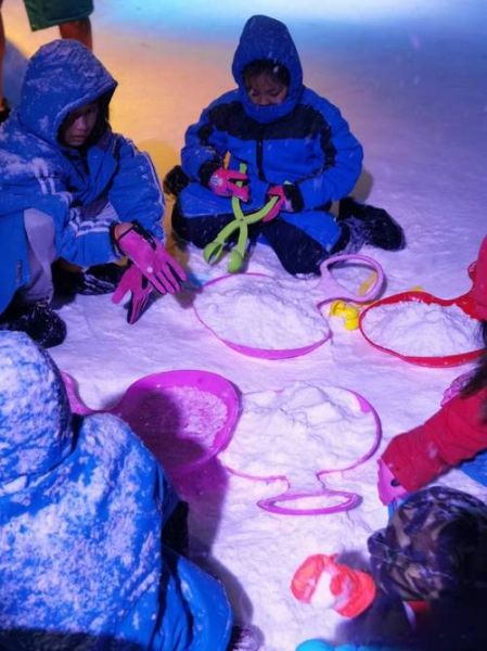 龙华冰雪天地门票价格_龙华冰雪天地开放时间