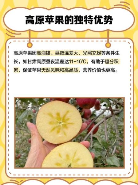 高原吃什么水果_高原水果有哪些