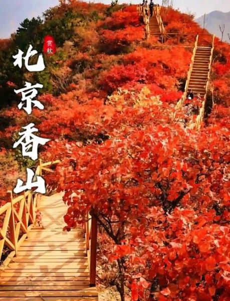 北京香山公园门票价格_香山公园红叶最佳观赏时间