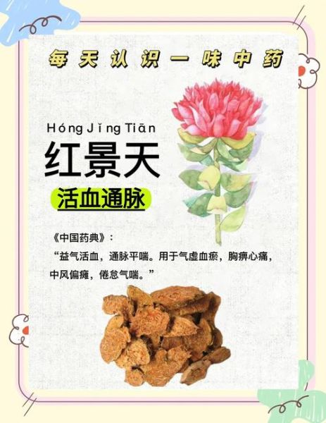 高原红景天有什么功效_高原红景天怎么吃效果最好