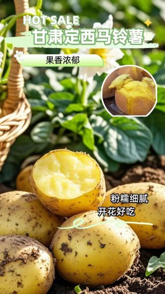 品高原是什么_品高原适合什么人吃