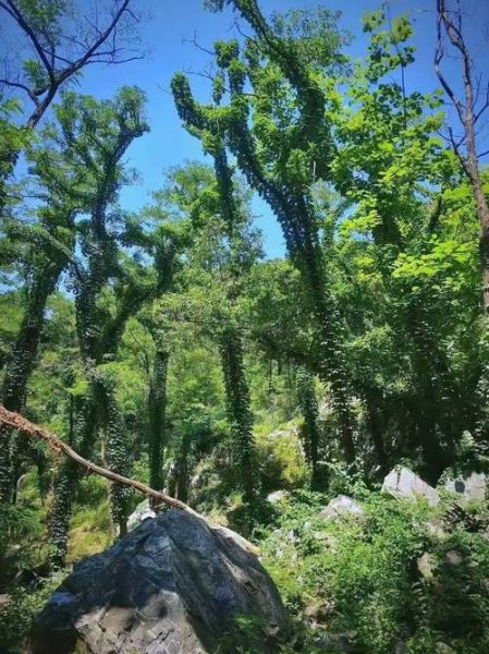 山东户外运动去哪玩_山东徒步路线推荐