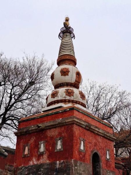 北京西苑有什么好玩的_北京西苑交通攻略