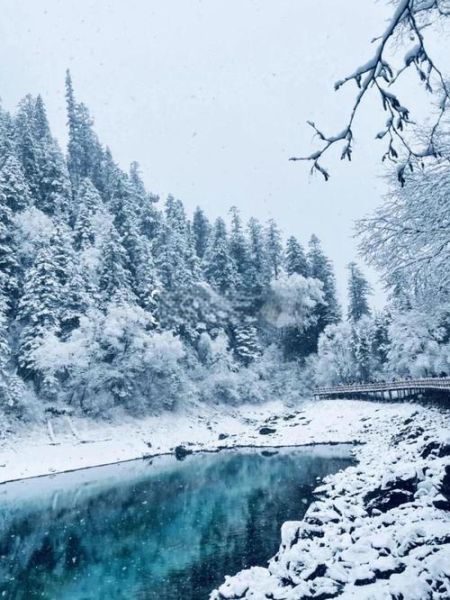 冰雪黄龙什么时候去最好_冰雪黄龙门票多少钱