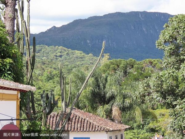 乔斯高原在哪里_乔斯高原旅游最佳时间