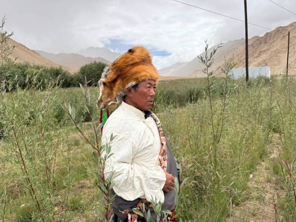 临潼高原在哪里_临潼高原海拔多少米