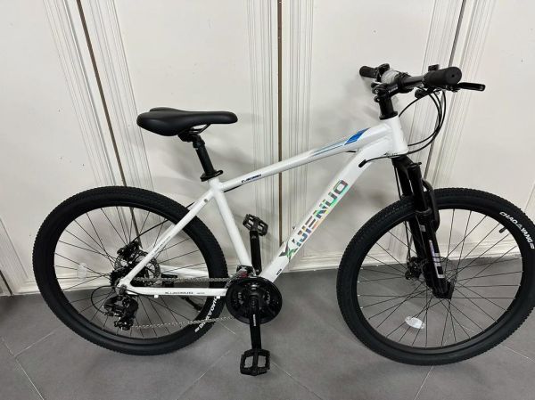 山地车哪个牌子好_入门公路车怎么选