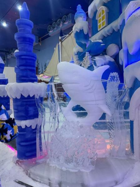 冰雪乐园门票多少钱_七彩蝶冰雪乐园值得去吗