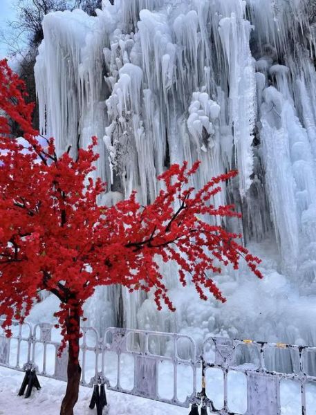 奇台冰雪什么时候去最好_奇台冰雪旅游攻略