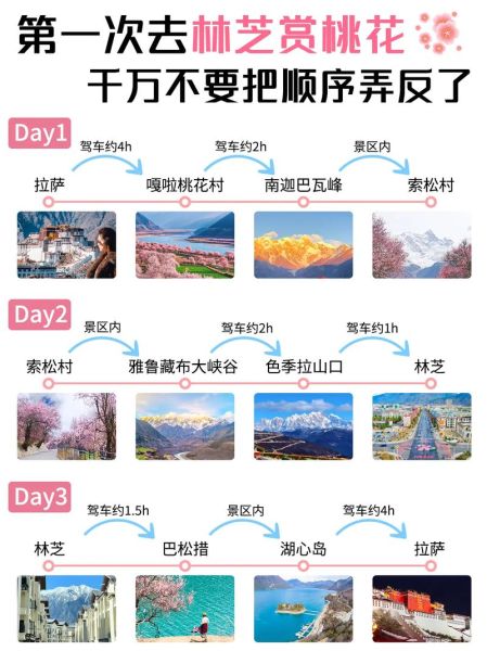 去林芝会不会高反_林芝高原反应怎么缓解