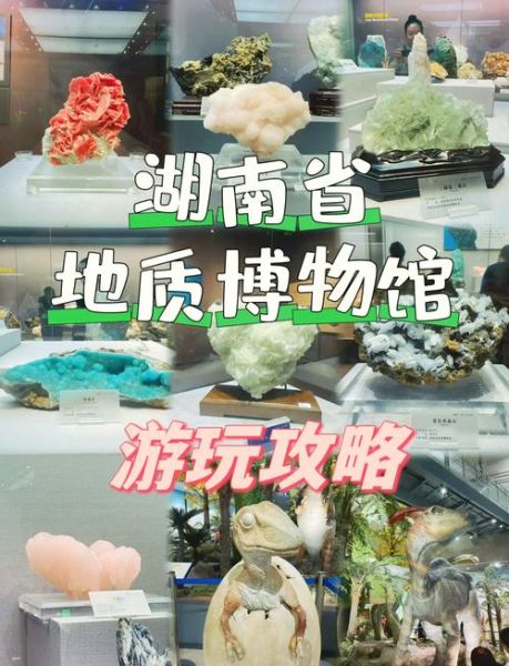 北京地质博物馆门票价格_开放时间