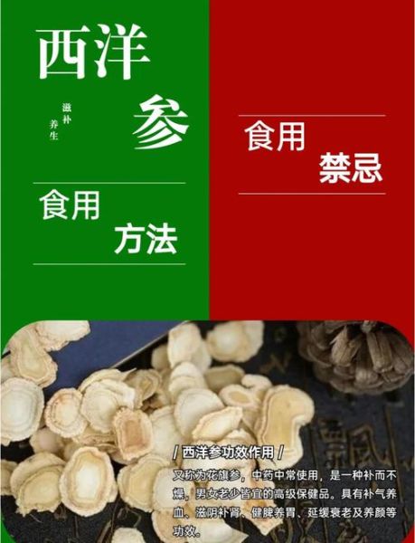 吃西洋参抗高原反应吗_西洋参预防高反怎么吃