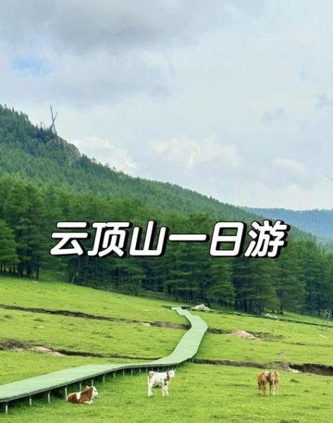 云顶高原一日游怎么玩_云顶高原交通攻略