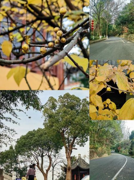 什年户外_适合什么季节去