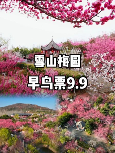 冰雪梅园门票价格_冰雪梅园在哪里