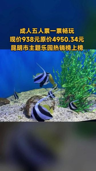 安宁冰雪海洋世界门票价格_值得去吗