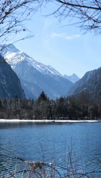 毕棚沟高原反应怎么办_去毕棚沟会高反吗