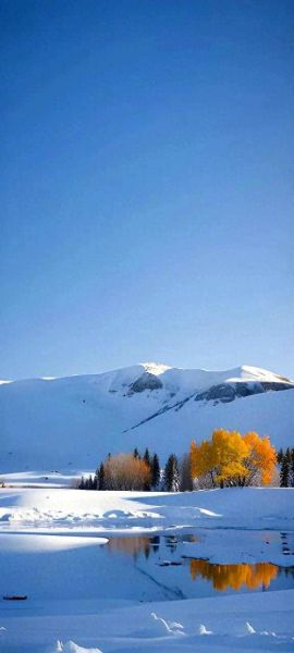 梦幻冰雪图片大全_哪里找高清壁纸